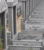 自贡祖坟墓地出现这种现象，大事不妙，千万要注意了！